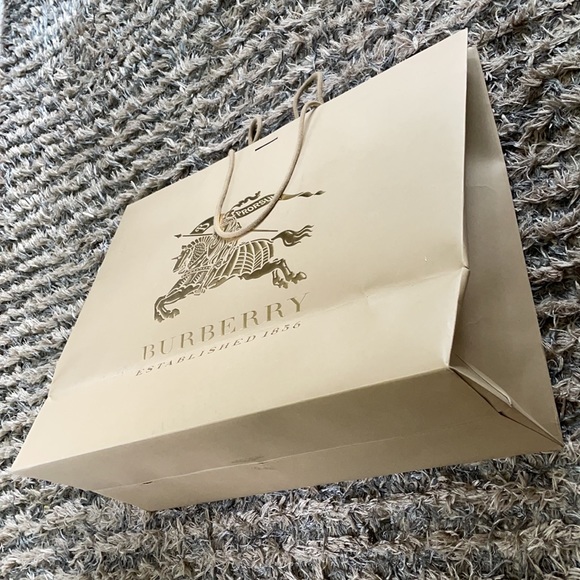 Burberry Large Paper Bag - Picture 2 of 5